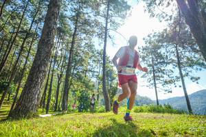 BIB: 442
                            <button type="button" onclick="openModal(19283754)" class="btn btn-primary btn-sm float-right btn-popup" data-toggle="modal" data-target=".modal-high-quality">
                        <i class="fas fa-shopping-cart"></i> Add to Cart
                    </button>
                                            <button type="button" onclick="isThisMe(19283754, true)" class="btn btn-success btn-sm float-right btn-popup btn-isme hidden" data-toggle="tooltip" data-placement="bottom" title="นี่คือรูปของคุณใช่ไหม คลิกที่นี่เพื่อเอาเข้าอัลบั้ม">
                        <i class="fas fa-plus"></i> Add to album
                    </button>
                    <button type="button" onclick="isThisMe(19283754, false)" class="btn btn-warning btn-sm float-right btn-popup btn-isnotme hidden">
                        <i class="fas fa-ban"></i> Remove from album
                    </button>