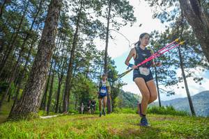 BIB: 
                            <button type="button" onclick="openModal(19286967)" class="btn btn-primary btn-sm float-right btn-popup" data-toggle="modal" data-target=".modal-high-quality">
                        <i class="fas fa-shopping-cart"></i> Add to Cart
                    </button>
                                            <button type="button" onclick="isThisMe(19286967, true)" class="btn btn-success btn-sm float-right btn-popup btn-isme hidden" data-toggle="tooltip" data-placement="bottom" title="นี่คือรูปของคุณใช่ไหม คลิกที่นี่เพื่อเอาเข้าอัลบั้ม">
                        <i class="fas fa-plus"></i> Add to album
                    </button>
                    <button type="button" onclick="isThisMe(19286967, false)" class="btn btn-warning btn-sm float-right btn-popup btn-isnotme hidden">
                        <i class="fas fa-ban"></i> Remove from album
                    </button>