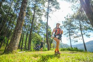 BIB: 
                            <button type="button" onclick="openModal(19287126)" class="btn btn-primary btn-sm float-right btn-popup" data-toggle="modal" data-target=".modal-high-quality">
                        <i class="fas fa-shopping-cart"></i> Add to Cart
                    </button>
                                            <button type="button" onclick="isThisMe(19287126, true)" class="btn btn-success btn-sm float-right btn-popup btn-isme hidden" data-toggle="tooltip" data-placement="bottom" title="นี่คือรูปของคุณใช่ไหม คลิกที่นี่เพื่อเอาเข้าอัลบั้ม">
                        <i class="fas fa-plus"></i> Add to album
                    </button>
                    <button type="button" onclick="isThisMe(19287126, false)" class="btn btn-warning btn-sm float-right btn-popup btn-isnotme hidden">
                        <i class="fas fa-ban"></i> Remove from album
                    </button>