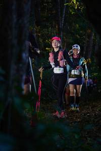 BIB: 2528
                            <button type="button" onclick="openModal(19209146)" class="btn btn-primary btn-sm float-right btn-popup" data-toggle="modal" data-target=".modal-high-quality">
                        <i class="fas fa-shopping-cart"></i> Add to Cart
                    </button>
                                            <button type="button" onclick="isThisMe(19209146, true)" class="btn btn-success btn-sm float-right btn-popup btn-isme hidden" data-toggle="tooltip" data-placement="bottom" title="นี่คือรูปของคุณใช่ไหม คลิกที่นี่เพื่อเอาเข้าอัลบั้ม">
                        <i class="fas fa-plus"></i> Add to album
                    </button>
                    <button type="button" onclick="isThisMe(19209146, false)" class="btn btn-warning btn-sm float-right btn-popup btn-isnotme hidden">
                        <i class="fas fa-ban"></i> Remove from album
                    </button>