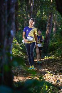 BIB: 1329
                            <button type="button" onclick="openModal(19187267)" class="btn btn-primary btn-sm float-right btn-popup" data-toggle="modal" data-target=".modal-high-quality">
                        <i class="fas fa-shopping-cart"></i> Add to Cart
                    </button>
                                            <button type="button" onclick="isThisMe(19187267, true)" class="btn btn-success btn-sm float-right btn-popup btn-isme hidden" data-toggle="tooltip" data-placement="bottom" title="นี่คือรูปของคุณใช่ไหม คลิกที่นี่เพื่อเอาเข้าอัลบั้ม">
                        <i class="fas fa-plus"></i> Add to album
                    </button>
                    <button type="button" onclick="isThisMe(19187267, false)" class="btn btn-warning btn-sm float-right btn-popup btn-isnotme hidden">
                        <i class="fas fa-ban"></i> Remove from album
                    </button>