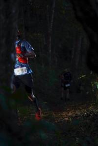 BIB: 2797
                            <button type="button" onclick="openModal(19190251)" class="btn btn-primary btn-sm float-right btn-popup" data-toggle="modal" data-target=".modal-high-quality">
                        <i class="fas fa-shopping-cart"></i> Add to Cart
                    </button>
                                            <button type="button" onclick="isThisMe(19190251, true)" class="btn btn-success btn-sm float-right btn-popup btn-isme hidden" data-toggle="tooltip" data-placement="bottom" title="นี่คือรูปของคุณใช่ไหม คลิกที่นี่เพื่อเอาเข้าอัลบั้ม">
                        <i class="fas fa-plus"></i> Add to album
                    </button>
                    <button type="button" onclick="isThisMe(19190251, false)" class="btn btn-warning btn-sm float-right btn-popup btn-isnotme hidden">
                        <i class="fas fa-ban"></i> Remove from album
                    </button>