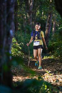 BIB: 1330
                            <button type="button" onclick="openModal(19187271)" class="btn btn-primary btn-sm float-right btn-popup" data-toggle="modal" data-target=".modal-high-quality">
                        <i class="fas fa-shopping-cart"></i> Add to Cart
                    </button>
                                            <button type="button" onclick="isThisMe(19187271, true)" class="btn btn-success btn-sm float-right btn-popup btn-isme hidden" data-toggle="tooltip" data-placement="bottom" title="นี่คือรูปของคุณใช่ไหม คลิกที่นี่เพื่อเอาเข้าอัลบั้ม">
                        <i class="fas fa-plus"></i> Add to album
                    </button>
                    <button type="button" onclick="isThisMe(19187271, false)" class="btn btn-warning btn-sm float-right btn-popup btn-isnotme hidden">
                        <i class="fas fa-ban"></i> Remove from album
                    </button>