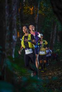 BIB: 3356
                            <button type="button" onclick="openModal(19192217)" class="btn btn-primary btn-sm float-right btn-popup" data-toggle="modal" data-target=".modal-high-quality">
                        <i class="fas fa-shopping-cart"></i> Add to Cart
                    </button>
                                            <button type="button" onclick="isThisMe(19192217, true)" class="btn btn-success btn-sm float-right btn-popup btn-isme hidden" data-toggle="tooltip" data-placement="bottom" title="นี่คือรูปของคุณใช่ไหม คลิกที่นี่เพื่อเอาเข้าอัลบั้ม">
                        <i class="fas fa-plus"></i> Add to album
                    </button>
                    <button type="button" onclick="isThisMe(19192217, false)" class="btn btn-warning btn-sm float-right btn-popup btn-isnotme hidden">
                        <i class="fas fa-ban"></i> Remove from album
                    </button>