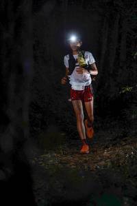 BIB: 
                            <button type="button" onclick="openModal(19188439)" class="btn btn-primary btn-sm float-right btn-popup" data-toggle="modal" data-target=".modal-high-quality">
                        <i class="fas fa-shopping-cart"></i> Add to Cart
                    </button>
                                            <button type="button" onclick="isThisMe(19188439, true)" class="btn btn-success btn-sm float-right btn-popup btn-isme hidden" data-toggle="tooltip" data-placement="bottom" title="นี่คือรูปของคุณใช่ไหม คลิกที่นี่เพื่อเอาเข้าอัลบั้ม">
                        <i class="fas fa-plus"></i> Add to album
                    </button>
                    <button type="button" onclick="isThisMe(19188439, false)" class="btn btn-warning btn-sm float-right btn-popup btn-isnotme hidden">
                        <i class="fas fa-ban"></i> Remove from album
                    </button>