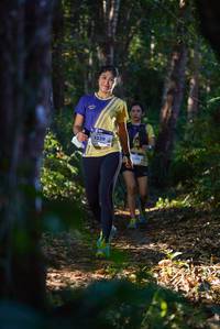 BIB: 1329
                            <button type="button" onclick="openModal(19187270)" class="btn btn-primary btn-sm float-right btn-popup" data-toggle="modal" data-target=".modal-high-quality">
                        <i class="fas fa-shopping-cart"></i> Add to Cart
                    </button>
                                            <button type="button" onclick="isThisMe(19187270, true)" class="btn btn-success btn-sm float-right btn-popup btn-isme hidden" data-toggle="tooltip" data-placement="bottom" title="นี่คือรูปของคุณใช่ไหม คลิกที่นี่เพื่อเอาเข้าอัลบั้ม">
                        <i class="fas fa-plus"></i> Add to album
                    </button>
                    <button type="button" onclick="isThisMe(19187270, false)" class="btn btn-warning btn-sm float-right btn-popup btn-isnotme hidden">
                        <i class="fas fa-ban"></i> Remove from album
                    </button>