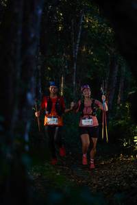 BIB: 2009, 2136
                            <button type="button" onclick="openModal(19211004)" class="btn btn-primary btn-sm float-right btn-popup" data-toggle="modal" data-target=".modal-high-quality">
                        <i class="fas fa-shopping-cart"></i> Add to Cart
                    </button>
                                            <button type="button" onclick="isThisMe(19211004, true)" class="btn btn-success btn-sm float-right btn-popup btn-isme hidden" data-toggle="tooltip" data-placement="bottom" title="นี่คือรูปของคุณใช่ไหม คลิกที่นี่เพื่อเอาเข้าอัลบั้ม">
                        <i class="fas fa-plus"></i> Add to album
                    </button>
                    <button type="button" onclick="isThisMe(19211004, false)" class="btn btn-warning btn-sm float-right btn-popup btn-isnotme hidden">
                        <i class="fas fa-ban"></i> Remove from album
                    </button>