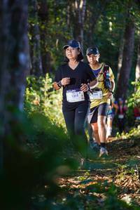 BIB: 1311, 166
                            <button type="button" onclick="openModal(19214734)" class="btn btn-primary btn-sm float-right btn-popup" data-toggle="modal" data-target=".modal-high-quality">
                        <i class="fas fa-shopping-cart"></i> Add to Cart
                    </button>
                                            <button type="button" onclick="isThisMe(19214734, true)" class="btn btn-success btn-sm float-right btn-popup btn-isme hidden" data-toggle="tooltip" data-placement="bottom" title="นี่คือรูปของคุณใช่ไหม คลิกที่นี่เพื่อเอาเข้าอัลบั้ม">
                        <i class="fas fa-plus"></i> Add to album
                    </button>
                    <button type="button" onclick="isThisMe(19214734, false)" class="btn btn-warning btn-sm float-right btn-popup btn-isnotme hidden">
                        <i class="fas fa-ban"></i> Remove from album
                    </button>