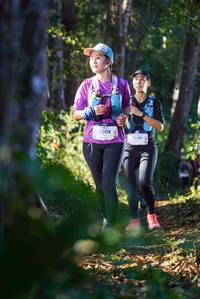 BIB: 1308, 1546
                            <button type="button" onclick="openModal(19214530)" class="btn btn-primary btn-sm float-right btn-popup" data-toggle="modal" data-target=".modal-high-quality">
                        <i class="fas fa-shopping-cart"></i> Add to Cart
                    </button>
                                            <button type="button" onclick="isThisMe(19214530, true)" class="btn btn-success btn-sm float-right btn-popup btn-isme hidden" data-toggle="tooltip" data-placement="bottom" title="นี่คือรูปของคุณใช่ไหม คลิกที่นี่เพื่อเอาเข้าอัลบั้ม">
                        <i class="fas fa-plus"></i> Add to album
                    </button>
                    <button type="button" onclick="isThisMe(19214530, false)" class="btn btn-warning btn-sm float-right btn-popup btn-isnotme hidden">
                        <i class="fas fa-ban"></i> Remove from album
                    </button>