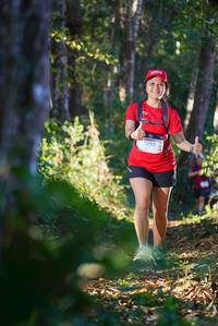 BIB: 1295
                            <button type="button" onclick="openModal(19214542)" class="btn btn-primary btn-sm float-right btn-popup" data-toggle="modal" data-target=".modal-high-quality">
                        <i class="fas fa-shopping-cart"></i> Add to Cart
                    </button>
                                            <button type="button" onclick="isThisMe(19214542, true)" class="btn btn-success btn-sm float-right btn-popup btn-isme hidden" data-toggle="tooltip" data-placement="bottom" title="นี่คือรูปของคุณใช่ไหม คลิกที่นี่เพื่อเอาเข้าอัลบั้ม">
                        <i class="fas fa-plus"></i> Add to album
                    </button>
                    <button type="button" onclick="isThisMe(19214542, false)" class="btn btn-warning btn-sm float-right btn-popup btn-isnotme hidden">
                        <i class="fas fa-ban"></i> Remove from album
                    </button>