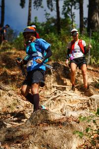 BIB: 314
                            <button type="button" onclick="openModal(19127602)" class="btn btn-primary btn-sm float-right btn-popup" data-toggle="modal" data-target=".modal-high-quality">
                        <i class="fas fa-shopping-cart"></i> Add to Cart
                    </button>
                                            <button type="button" onclick="isThisMe(19127602, true)" class="btn btn-success btn-sm float-right btn-popup btn-isme hidden" data-toggle="tooltip" data-placement="bottom" title="นี่คือรูปของคุณใช่ไหม คลิกที่นี่เพื่อเอาเข้าอัลบั้ม">
                        <i class="fas fa-plus"></i> Add to album
                    </button>
                    <button type="button" onclick="isThisMe(19127602, false)" class="btn btn-warning btn-sm float-right btn-popup btn-isnotme hidden">
                        <i class="fas fa-ban"></i> Remove from album
                    </button>