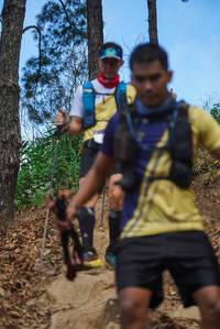 BIB: 7224
                            <button type="button" onclick="openModal(19131286)" class="btn btn-primary btn-sm float-right btn-popup" data-toggle="modal" data-target=".modal-high-quality">
                        <i class="fas fa-shopping-cart"></i> Add to Cart
                    </button>
                                            <button type="button" onclick="isThisMe(19131286, true)" class="btn btn-success btn-sm float-right btn-popup btn-isme hidden" data-toggle="tooltip" data-placement="bottom" title="นี่คือรูปของคุณใช่ไหม คลิกที่นี่เพื่อเอาเข้าอัลบั้ม">
                        <i class="fas fa-plus"></i> Add to album
                    </button>
                    <button type="button" onclick="isThisMe(19131286, false)" class="btn btn-warning btn-sm float-right btn-popup btn-isnotme hidden">
                        <i class="fas fa-ban"></i> Remove from album
                    </button>