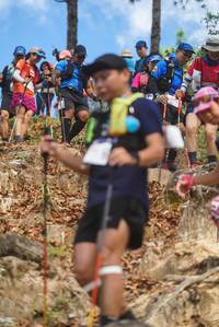 BIB: 
                            <button type="button" onclick="openModal(19140640)" class="btn btn-primary btn-sm float-right btn-popup" data-toggle="modal" data-target=".modal-high-quality">
                        <i class="fas fa-shopping-cart"></i> Add to Cart
                    </button>
                                            <button type="button" onclick="isThisMe(19140640, true)" class="btn btn-success btn-sm float-right btn-popup btn-isme hidden" data-toggle="tooltip" data-placement="bottom" title="นี่คือรูปของคุณใช่ไหม คลิกที่นี่เพื่อเอาเข้าอัลบั้ม">
                        <i class="fas fa-plus"></i> Add to album
                    </button>
                    <button type="button" onclick="isThisMe(19140640, false)" class="btn btn-warning btn-sm float-right btn-popup btn-isnotme hidden">
                        <i class="fas fa-ban"></i> Remove from album
                    </button>