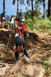 BIB: 
                            <button type="button" onclick="openModal(19122435)" class="btn btn-primary btn-sm float-right btn-popup" data-toggle="modal" data-target=".modal-high-quality">
                        <i class="fas fa-shopping-cart"></i> Add to Cart
                    </button>
                                            <button type="button" onclick="isThisMe(19122435, true)" class="btn btn-success btn-sm float-right btn-popup btn-isme hidden" data-toggle="tooltip" data-placement="bottom" title="นี่คือรูปของคุณใช่ไหม คลิกที่นี่เพื่อเอาเข้าอัลบั้ม">
                        <i class="fas fa-plus"></i> Add to album
                    </button>
                    <button type="button" onclick="isThisMe(19122435, false)" class="btn btn-warning btn-sm float-right btn-popup btn-isnotme hidden">
                        <i class="fas fa-ban"></i> Remove from album
                    </button>