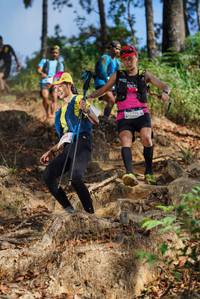 BIB: 
                            <button type="button" onclick="openModal(19122130)" class="btn btn-primary btn-sm float-right btn-popup" data-toggle="modal" data-target=".modal-high-quality">
                        <i class="fas fa-shopping-cart"></i> Add to Cart
                    </button>
                                            <button type="button" onclick="isThisMe(19122130, true)" class="btn btn-success btn-sm float-right btn-popup btn-isme hidden" data-toggle="tooltip" data-placement="bottom" title="นี่คือรูปของคุณใช่ไหม คลิกที่นี่เพื่อเอาเข้าอัลบั้ม">
                        <i class="fas fa-plus"></i> Add to album
                    </button>
                    <button type="button" onclick="isThisMe(19122130, false)" class="btn btn-warning btn-sm float-right btn-popup btn-isnotme hidden">
                        <i class="fas fa-ban"></i> Remove from album
                    </button>