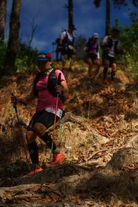 BIB: 
                            <button type="button" onclick="openModal(19129290)" class="btn btn-primary btn-sm float-right btn-popup" data-toggle="modal" data-target=".modal-high-quality">
                        <i class="fas fa-shopping-cart"></i> Add to Cart
                    </button>
                                            <button type="button" onclick="isThisMe(19129290, true)" class="btn btn-success btn-sm float-right btn-popup btn-isme hidden" data-toggle="tooltip" data-placement="bottom" title="นี่คือรูปของคุณใช่ไหม คลิกที่นี่เพื่อเอาเข้าอัลบั้ม">
                        <i class="fas fa-plus"></i> Add to album
                    </button>
                    <button type="button" onclick="isThisMe(19129290, false)" class="btn btn-warning btn-sm float-right btn-popup btn-isnotme hidden">
                        <i class="fas fa-ban"></i> Remove from album
                    </button>