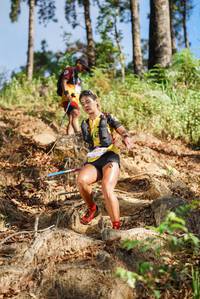 BIB: 
                            <button type="button" onclick="openModal(19149081)" class="btn btn-primary btn-sm float-right btn-popup" data-toggle="modal" data-target=".modal-high-quality">
                        <i class="fas fa-shopping-cart"></i> Add to Cart
                    </button>
                                            <button type="button" onclick="isThisMe(19149081, true)" class="btn btn-success btn-sm float-right btn-popup btn-isme hidden" data-toggle="tooltip" data-placement="bottom" title="นี่คือรูปของคุณใช่ไหม คลิกที่นี่เพื่อเอาเข้าอัลบั้ม">
                        <i class="fas fa-plus"></i> Add to album
                    </button>
                    <button type="button" onclick="isThisMe(19149081, false)" class="btn btn-warning btn-sm float-right btn-popup btn-isnotme hidden">
                        <i class="fas fa-ban"></i> Remove from album
                    </button>