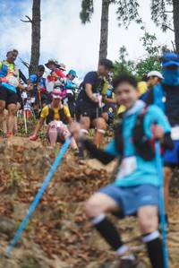 BIB: 
                            <button type="button" onclick="openModal(19140550)" class="btn btn-primary btn-sm float-right btn-popup" data-toggle="modal" data-target=".modal-high-quality">
                        <i class="fas fa-shopping-cart"></i> Add to Cart
                    </button>
                                            <button type="button" onclick="isThisMe(19140550, true)" class="btn btn-success btn-sm float-right btn-popup btn-isme hidden" data-toggle="tooltip" data-placement="bottom" title="นี่คือรูปของคุณใช่ไหม คลิกที่นี่เพื่อเอาเข้าอัลบั้ม">
                        <i class="fas fa-plus"></i> Add to album
                    </button>
                    <button type="button" onclick="isThisMe(19140550, false)" class="btn btn-warning btn-sm float-right btn-popup btn-isnotme hidden">
                        <i class="fas fa-ban"></i> Remove from album
                    </button>