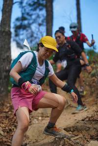 BIB: 
                            <button type="button" onclick="openModal(19131342)" class="btn btn-primary btn-sm float-right btn-popup" data-toggle="modal" data-target=".modal-high-quality">
                        <i class="fas fa-shopping-cart"></i> Add to Cart
                    </button>
                                            <button type="button" onclick="isThisMe(19131342, true)" class="btn btn-success btn-sm float-right btn-popup btn-isme hidden" data-toggle="tooltip" data-placement="bottom" title="นี่คือรูปของคุณใช่ไหม คลิกที่นี่เพื่อเอาเข้าอัลบั้ม">
                        <i class="fas fa-plus"></i> Add to album
                    </button>
                    <button type="button" onclick="isThisMe(19131342, false)" class="btn btn-warning btn-sm float-right btn-popup btn-isnotme hidden">
                        <i class="fas fa-ban"></i> Remove from album
                    </button>