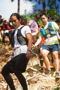 BIB: 7917, 5711
                            <button type="button" onclick="openModal(19140031)" class="btn btn-primary btn-sm float-right btn-popup" data-toggle="modal" data-target=".modal-high-quality">
                        <i class="fas fa-shopping-cart"></i> Add to Cart
                    </button>
                                            <button type="button" onclick="isThisMe(19140031, true)" class="btn btn-success btn-sm float-right btn-popup btn-isme hidden" data-toggle="tooltip" data-placement="bottom" title="นี่คือรูปของคุณใช่ไหม คลิกที่นี่เพื่อเอาเข้าอัลบั้ม">
                        <i class="fas fa-plus"></i> Add to album
                    </button>
                    <button type="button" onclick="isThisMe(19140031, false)" class="btn btn-warning btn-sm float-right btn-popup btn-isnotme hidden">
                        <i class="fas fa-ban"></i> Remove from album
                    </button>