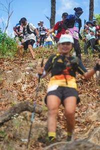 BIB: 
                            <button type="button" onclick="openModal(19141705)" class="btn btn-primary btn-sm float-right btn-popup" data-toggle="modal" data-target=".modal-high-quality">
                        <i class="fas fa-shopping-cart"></i> Add to Cart
                    </button>
                                            <button type="button" onclick="isThisMe(19141705, true)" class="btn btn-success btn-sm float-right btn-popup btn-isme hidden" data-toggle="tooltip" data-placement="bottom" title="นี่คือรูปของคุณใช่ไหม คลิกที่นี่เพื่อเอาเข้าอัลบั้ม">
                        <i class="fas fa-plus"></i> Add to album
                    </button>
                    <button type="button" onclick="isThisMe(19141705, false)" class="btn btn-warning btn-sm float-right btn-popup btn-isnotme hidden">
                        <i class="fas fa-ban"></i> Remove from album
                    </button>