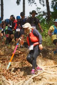 BIB: 393, 404
                            <button type="button" onclick="openModal(19140185)" class="btn btn-primary btn-sm float-right btn-popup" data-toggle="modal" data-target=".modal-high-quality">
                        <i class="fas fa-shopping-cart"></i> Add to Cart
                    </button>
                                            <button type="button" onclick="isThisMe(19140185, true)" class="btn btn-success btn-sm float-right btn-popup btn-isme hidden" data-toggle="tooltip" data-placement="bottom" title="นี่คือรูปของคุณใช่ไหม คลิกที่นี่เพื่อเอาเข้าอัลบั้ม">
                        <i class="fas fa-plus"></i> Add to album
                    </button>
                    <button type="button" onclick="isThisMe(19140185, false)" class="btn btn-warning btn-sm float-right btn-popup btn-isnotme hidden">
                        <i class="fas fa-ban"></i> Remove from album
                    </button>