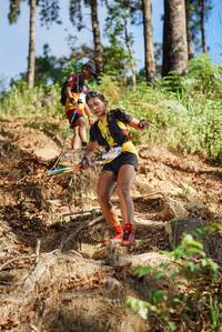 BIB: 650
                            <button type="button" onclick="openModal(19149080)" class="btn btn-primary btn-sm float-right btn-popup" data-toggle="modal" data-target=".modal-high-quality">
                        <i class="fas fa-shopping-cart"></i> Add to Cart
                    </button>
                                            <button type="button" onclick="isThisMe(19149080, true)" class="btn btn-success btn-sm float-right btn-popup btn-isme hidden" data-toggle="tooltip" data-placement="bottom" title="นี่คือรูปของคุณใช่ไหม คลิกที่นี่เพื่อเอาเข้าอัลบั้ม">
                        <i class="fas fa-plus"></i> Add to album
                    </button>
                    <button type="button" onclick="isThisMe(19149080, false)" class="btn btn-warning btn-sm float-right btn-popup btn-isnotme hidden">
                        <i class="fas fa-ban"></i> Remove from album
                    </button>