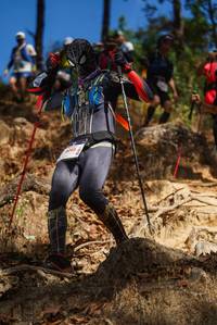 BIB: 
                            <button type="button" onclick="openModal(19132707)" class="btn btn-primary btn-sm float-right btn-popup" data-toggle="modal" data-target=".modal-high-quality">
                        <i class="fas fa-shopping-cart"></i> Add to Cart
                    </button>
                                            <button type="button" onclick="isThisMe(19132707, true)" class="btn btn-success btn-sm float-right btn-popup btn-isme hidden" data-toggle="tooltip" data-placement="bottom" title="นี่คือรูปของคุณใช่ไหม คลิกที่นี่เพื่อเอาเข้าอัลบั้ม">
                        <i class="fas fa-plus"></i> Add to album
                    </button>
                    <button type="button" onclick="isThisMe(19132707, false)" class="btn btn-warning btn-sm float-right btn-popup btn-isnotme hidden">
                        <i class="fas fa-ban"></i> Remove from album
                    </button>