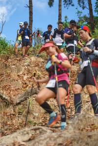 BIB: 
                            <button type="button" onclick="openModal(19135838)" class="btn btn-primary btn-sm float-right btn-popup" data-toggle="modal" data-target=".modal-high-quality">
                        <i class="fas fa-shopping-cart"></i> Add to Cart
                    </button>
                                            <button type="button" onclick="isThisMe(19135838, true)" class="btn btn-success btn-sm float-right btn-popup btn-isme hidden" data-toggle="tooltip" data-placement="bottom" title="นี่คือรูปของคุณใช่ไหม คลิกที่นี่เพื่อเอาเข้าอัลบั้ม">
                        <i class="fas fa-plus"></i> Add to album
                    </button>
                    <button type="button" onclick="isThisMe(19135838, false)" class="btn btn-warning btn-sm float-right btn-popup btn-isnotme hidden">
                        <i class="fas fa-ban"></i> Remove from album
                    </button>