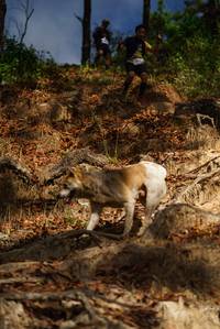 BIB: 
                            <button type="button" onclick="openModal(19129418)" class="btn btn-primary btn-sm float-right btn-popup" data-toggle="modal" data-target=".modal-high-quality">
                        <i class="fas fa-shopping-cart"></i> Add to Cart
                    </button>
                                            <button type="button" onclick="isThisMe(19129418, true)" class="btn btn-success btn-sm float-right btn-popup btn-isme hidden" data-toggle="tooltip" data-placement="bottom" title="นี่คือรูปของคุณใช่ไหม คลิกที่นี่เพื่อเอาเข้าอัลบั้ม">
                        <i class="fas fa-plus"></i> Add to album
                    </button>
                    <button type="button" onclick="isThisMe(19129418, false)" class="btn btn-warning btn-sm float-right btn-popup btn-isnotme hidden">
                        <i class="fas fa-ban"></i> Remove from album
                    </button>