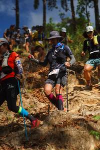 BIB: 
                            <button type="button" onclick="openModal(19129041)" class="btn btn-primary btn-sm float-right btn-popup" data-toggle="modal" data-target=".modal-high-quality">
                        <i class="fas fa-shopping-cart"></i> Add to Cart
                    </button>
                                            <button type="button" onclick="isThisMe(19129041, true)" class="btn btn-success btn-sm float-right btn-popup btn-isme hidden" data-toggle="tooltip" data-placement="bottom" title="นี่คือรูปของคุณใช่ไหม คลิกที่นี่เพื่อเอาเข้าอัลบั้ม">
                        <i class="fas fa-plus"></i> Add to album
                    </button>
                    <button type="button" onclick="isThisMe(19129041, false)" class="btn btn-warning btn-sm float-right btn-popup btn-isnotme hidden">
                        <i class="fas fa-ban"></i> Remove from album
                    </button>