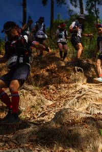 BIB: 
                            <button type="button" onclick="openModal(19129119)" class="btn btn-primary btn-sm float-right btn-popup" data-toggle="modal" data-target=".modal-high-quality">
                        <i class="fas fa-shopping-cart"></i> Add to Cart
                    </button>
                                            <button type="button" onclick="isThisMe(19129119, true)" class="btn btn-success btn-sm float-right btn-popup btn-isme hidden" data-toggle="tooltip" data-placement="bottom" title="นี่คือรูปของคุณใช่ไหม คลิกที่นี่เพื่อเอาเข้าอัลบั้ม">
                        <i class="fas fa-plus"></i> Add to album
                    </button>
                    <button type="button" onclick="isThisMe(19129119, false)" class="btn btn-warning btn-sm float-right btn-popup btn-isnotme hidden">
                        <i class="fas fa-ban"></i> Remove from album
                    </button>