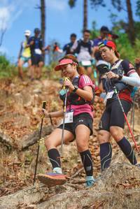 BIB: 
                            <button type="button" onclick="openModal(19135836)" class="btn btn-primary btn-sm float-right btn-popup" data-toggle="modal" data-target=".modal-high-quality">
                        <i class="fas fa-shopping-cart"></i> Add to Cart
                    </button>
                                            <button type="button" onclick="isThisMe(19135836, true)" class="btn btn-success btn-sm float-right btn-popup btn-isme hidden" data-toggle="tooltip" data-placement="bottom" title="นี่คือรูปของคุณใช่ไหม คลิกที่นี่เพื่อเอาเข้าอัลบั้ม">
                        <i class="fas fa-plus"></i> Add to album
                    </button>
                    <button type="button" onclick="isThisMe(19135836, false)" class="btn btn-warning btn-sm float-right btn-popup btn-isnotme hidden">
                        <i class="fas fa-ban"></i> Remove from album
                    </button>