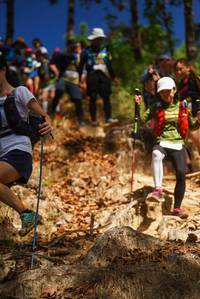 BIB: 
                            <button type="button" onclick="openModal(19135486)" class="btn btn-primary btn-sm float-right btn-popup" data-toggle="modal" data-target=".modal-high-quality">
                        <i class="fas fa-shopping-cart"></i> Add to Cart
                    </button>
                                            <button type="button" onclick="isThisMe(19135486, true)" class="btn btn-success btn-sm float-right btn-popup btn-isme hidden" data-toggle="tooltip" data-placement="bottom" title="นี่คือรูปของคุณใช่ไหม คลิกที่นี่เพื่อเอาเข้าอัลบั้ม">
                        <i class="fas fa-plus"></i> Add to album
                    </button>
                    <button type="button" onclick="isThisMe(19135486, false)" class="btn btn-warning btn-sm float-right btn-popup btn-isnotme hidden">
                        <i class="fas fa-ban"></i> Remove from album
                    </button>