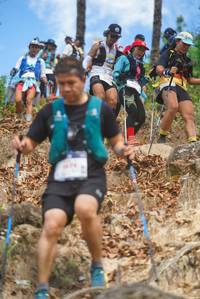 BIB: 
                            <button type="button" onclick="openModal(19141592)" class="btn btn-primary btn-sm float-right btn-popup" data-toggle="modal" data-target=".modal-high-quality">
                        <i class="fas fa-shopping-cart"></i> Add to Cart
                    </button>
                                            <button type="button" onclick="isThisMe(19141592, true)" class="btn btn-success btn-sm float-right btn-popup btn-isme hidden" data-toggle="tooltip" data-placement="bottom" title="นี่คือรูปของคุณใช่ไหม คลิกที่นี่เพื่อเอาเข้าอัลบั้ม">
                        <i class="fas fa-plus"></i> Add to album
                    </button>
                    <button type="button" onclick="isThisMe(19141592, false)" class="btn btn-warning btn-sm float-right btn-popup btn-isnotme hidden">
                        <i class="fas fa-ban"></i> Remove from album
                    </button>