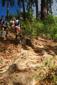 BIB: 
                            <button type="button" onclick="openModal(19127334)" class="btn btn-primary btn-sm float-right btn-popup" data-toggle="modal" data-target=".modal-high-quality">
                        <i class="fas fa-shopping-cart"></i> Add to Cart
                    </button>
                                            <button type="button" onclick="isThisMe(19127334, true)" class="btn btn-success btn-sm float-right btn-popup btn-isme hidden" data-toggle="tooltip" data-placement="bottom" title="นี่คือรูปของคุณใช่ไหม คลิกที่นี่เพื่อเอาเข้าอัลบั้ม">
                        <i class="fas fa-plus"></i> Add to album
                    </button>
                    <button type="button" onclick="isThisMe(19127334, false)" class="btn btn-warning btn-sm float-right btn-popup btn-isnotme hidden">
                        <i class="fas fa-ban"></i> Remove from album
                    </button>