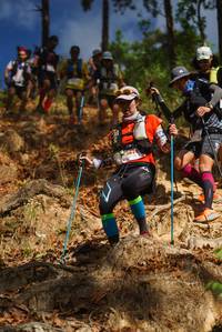 BIB: 
                            <button type="button" onclick="openModal(19129022)" class="btn btn-primary btn-sm float-right btn-popup" data-toggle="modal" data-target=".modal-high-quality">
                        <i class="fas fa-shopping-cart"></i> Add to Cart
                    </button>
                                            <button type="button" onclick="isThisMe(19129022, true)" class="btn btn-success btn-sm float-right btn-popup btn-isme hidden" data-toggle="tooltip" data-placement="bottom" title="นี่คือรูปของคุณใช่ไหม คลิกที่นี่เพื่อเอาเข้าอัลบั้ม">
                        <i class="fas fa-plus"></i> Add to album
                    </button>
                    <button type="button" onclick="isThisMe(19129022, false)" class="btn btn-warning btn-sm float-right btn-popup btn-isnotme hidden">
                        <i class="fas fa-ban"></i> Remove from album
                    </button>