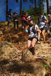 BIB: 5548
                            <button type="button" onclick="openModal(19129171)" class="btn btn-primary btn-sm float-right btn-popup" data-toggle="modal" data-target=".modal-high-quality">
                        <i class="fas fa-shopping-cart"></i> Add to Cart
                    </button>
                                            <button type="button" onclick="isThisMe(19129171, true)" class="btn btn-success btn-sm float-right btn-popup btn-isme hidden" data-toggle="tooltip" data-placement="bottom" title="นี่คือรูปของคุณใช่ไหม คลิกที่นี่เพื่อเอาเข้าอัลบั้ม">
                        <i class="fas fa-plus"></i> Add to album
                    </button>
                    <button type="button" onclick="isThisMe(19129171, false)" class="btn btn-warning btn-sm float-right btn-popup btn-isnotme hidden">
                        <i class="fas fa-ban"></i> Remove from album
                    </button>