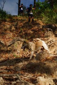 BIB: 
                            <button type="button" onclick="openModal(19129403)" class="btn btn-primary btn-sm float-right btn-popup" data-toggle="modal" data-target=".modal-high-quality">
                        <i class="fas fa-shopping-cart"></i> Add to Cart
                    </button>
                                            <button type="button" onclick="isThisMe(19129403, true)" class="btn btn-success btn-sm float-right btn-popup btn-isme hidden" data-toggle="tooltip" data-placement="bottom" title="นี่คือรูปของคุณใช่ไหม คลิกที่นี่เพื่อเอาเข้าอัลบั้ม">
                        <i class="fas fa-plus"></i> Add to album
                    </button>
                    <button type="button" onclick="isThisMe(19129403, false)" class="btn btn-warning btn-sm float-right btn-popup btn-isnotme hidden">
                        <i class="fas fa-ban"></i> Remove from album
                    </button>