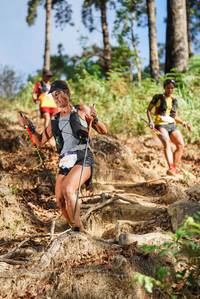 BIB: 6683
                            <button type="button" onclick="openModal(19149077)" class="btn btn-primary btn-sm float-right btn-popup" data-toggle="modal" data-target=".modal-high-quality">
                        <i class="fas fa-shopping-cart"></i> Add to Cart
                    </button>
                                            <button type="button" onclick="isThisMe(19149077, true)" class="btn btn-success btn-sm float-right btn-popup btn-isme hidden" data-toggle="tooltip" data-placement="bottom" title="นี่คือรูปของคุณใช่ไหม คลิกที่นี่เพื่อเอาเข้าอัลบั้ม">
                        <i class="fas fa-plus"></i> Add to album
                    </button>
                    <button type="button" onclick="isThisMe(19149077, false)" class="btn btn-warning btn-sm float-right btn-popup btn-isnotme hidden">
                        <i class="fas fa-ban"></i> Remove from album
                    </button>