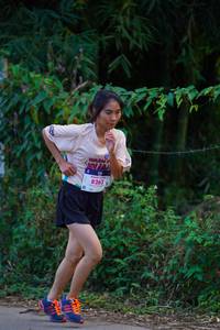 BIB: 8263
                            <button type="button" onclick="openModal(18866213)" class="btn btn-primary btn-sm float-right btn-popup" data-toggle="modal" data-target=".modal-high-quality">
                        <i class="fas fa-shopping-cart"></i> Add to Cart
                    </button>
                                            <button type="button" onclick="isThisMe(18866213, true)" class="btn btn-success btn-sm float-right btn-popup btn-isme hidden" data-toggle="tooltip" data-placement="bottom" title="นี่คือรูปของคุณใช่ไหม คลิกที่นี่เพื่อเอาเข้าอัลบั้ม">
                        <i class="fas fa-plus"></i> Add to album
                    </button>
                    <button type="button" onclick="isThisMe(18866213, false)" class="btn btn-warning btn-sm float-right btn-popup btn-isnotme hidden">
                        <i class="fas fa-ban"></i> Remove from album
                    </button>