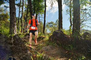 BIB: 
                            <button type="button" onclick="openModal(18938935)" class="btn btn-primary btn-sm float-right btn-popup" data-toggle="modal" data-target=".modal-high-quality">
                        <i class="fas fa-shopping-cart"></i> Add to Cart
                    </button>
                                            <button type="button" onclick="isThisMe(18938935, true)" class="btn btn-success btn-sm float-right btn-popup btn-isme hidden" data-toggle="tooltip" data-placement="bottom" title="นี่คือรูปของคุณใช่ไหม คลิกที่นี่เพื่อเอาเข้าอัลบั้ม">
                        <i class="fas fa-plus"></i> Add to album
                    </button>
                    <button type="button" onclick="isThisMe(18938935, false)" class="btn btn-warning btn-sm float-right btn-popup btn-isnotme hidden">
                        <i class="fas fa-ban"></i> Remove from album
                    </button>