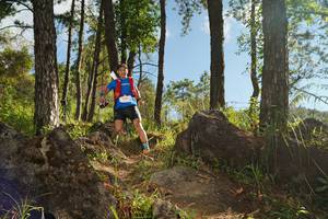 BIB: 
                            <button type="button" onclick="openModal(18937194)" class="btn btn-primary btn-sm float-right btn-popup" data-toggle="modal" data-target=".modal-high-quality">
                        <i class="fas fa-shopping-cart"></i> Add to Cart
                    </button>
                                            <button type="button" onclick="isThisMe(18937194, true)" class="btn btn-success btn-sm float-right btn-popup btn-isme hidden" data-toggle="tooltip" data-placement="bottom" title="นี่คือรูปของคุณใช่ไหม คลิกที่นี่เพื่อเอาเข้าอัลบั้ม">
                        <i class="fas fa-plus"></i> Add to album
                    </button>
                    <button type="button" onclick="isThisMe(18937194, false)" class="btn btn-warning btn-sm float-right btn-popup btn-isnotme hidden">
                        <i class="fas fa-ban"></i> Remove from album
                    </button>