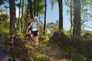 BIB: 
                            <button type="button" onclick="openModal(18937481)" class="btn btn-primary btn-sm float-right btn-popup" data-toggle="modal" data-target=".modal-high-quality">
                        <i class="fas fa-shopping-cart"></i> Add to Cart
                    </button>
                                            <button type="button" onclick="isThisMe(18937481, true)" class="btn btn-success btn-sm float-right btn-popup btn-isme hidden" data-toggle="tooltip" data-placement="bottom" title="นี่คือรูปของคุณใช่ไหม คลิกที่นี่เพื่อเอาเข้าอัลบั้ม">
                        <i class="fas fa-plus"></i> Add to album
                    </button>
                    <button type="button" onclick="isThisMe(18937481, false)" class="btn btn-warning btn-sm float-right btn-popup btn-isnotme hidden">
                        <i class="fas fa-ban"></i> Remove from album
                    </button>