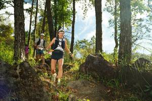 BIB: 
                            <button type="button" onclick="openModal(18916209)" class="btn btn-primary btn-sm float-right btn-popup" data-toggle="modal" data-target=".modal-high-quality">
                        <i class="fas fa-shopping-cart"></i> Add to Cart
                    </button>
                                            <button type="button" onclick="isThisMe(18916209, true)" class="btn btn-success btn-sm float-right btn-popup btn-isme hidden" data-toggle="tooltip" data-placement="bottom" title="นี่คือรูปของคุณใช่ไหม คลิกที่นี่เพื่อเอาเข้าอัลบั้ม">
                        <i class="fas fa-plus"></i> Add to album
                    </button>
                    <button type="button" onclick="isThisMe(18916209, false)" class="btn btn-warning btn-sm float-right btn-popup btn-isnotme hidden">
                        <i class="fas fa-ban"></i> Remove from album
                    </button>