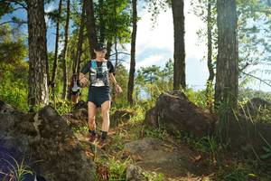 BIB: 
                            <button type="button" onclick="openModal(18934181)" class="btn btn-primary btn-sm float-right btn-popup" data-toggle="modal" data-target=".modal-high-quality">
                        <i class="fas fa-shopping-cart"></i> Add to Cart
                    </button>
                                            <button type="button" onclick="isThisMe(18934181, true)" class="btn btn-success btn-sm float-right btn-popup btn-isme hidden" data-toggle="tooltip" data-placement="bottom" title="นี่คือรูปของคุณใช่ไหม คลิกที่นี่เพื่อเอาเข้าอัลบั้ม">
                        <i class="fas fa-plus"></i> Add to album
                    </button>
                    <button type="button" onclick="isThisMe(18934181, false)" class="btn btn-warning btn-sm float-right btn-popup btn-isnotme hidden">
                        <i class="fas fa-ban"></i> Remove from album
                    </button>