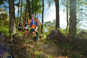 BIB: 
                            <button type="button" onclick="openModal(18935080)" class="btn btn-primary btn-sm float-right btn-popup" data-toggle="modal" data-target=".modal-high-quality">
                        <i class="fas fa-shopping-cart"></i> Add to Cart
                    </button>
                                            <button type="button" onclick="isThisMe(18935080, true)" class="btn btn-success btn-sm float-right btn-popup btn-isme hidden" data-toggle="tooltip" data-placement="bottom" title="นี่คือรูปของคุณใช่ไหม คลิกที่นี่เพื่อเอาเข้าอัลบั้ม">
                        <i class="fas fa-plus"></i> Add to album
                    </button>
                    <button type="button" onclick="isThisMe(18935080, false)" class="btn btn-warning btn-sm float-right btn-popup btn-isnotme hidden">
                        <i class="fas fa-ban"></i> Remove from album
                    </button>