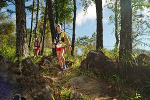 BIB: 
                            <button type="button" onclick="openModal(18940209)" class="btn btn-primary btn-sm float-right btn-popup" data-toggle="modal" data-target=".modal-high-quality">
                        <i class="fas fa-shopping-cart"></i> Add to Cart
                    </button>
                                            <button type="button" onclick="isThisMe(18940209, true)" class="btn btn-success btn-sm float-right btn-popup btn-isme hidden" data-toggle="tooltip" data-placement="bottom" title="นี่คือรูปของคุณใช่ไหม คลิกที่นี่เพื่อเอาเข้าอัลบั้ม">
                        <i class="fas fa-plus"></i> Add to album
                    </button>
                    <button type="button" onclick="isThisMe(18940209, false)" class="btn btn-warning btn-sm float-right btn-popup btn-isnotme hidden">
                        <i class="fas fa-ban"></i> Remove from album
                    </button>