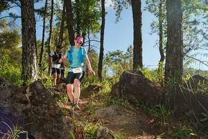 BIB: 
                            <button type="button" onclick="openModal(18935797)" class="btn btn-primary btn-sm float-right btn-popup" data-toggle="modal" data-target=".modal-high-quality">
                        <i class="fas fa-shopping-cart"></i> Add to Cart
                    </button>
                                            <button type="button" onclick="isThisMe(18935797, true)" class="btn btn-success btn-sm float-right btn-popup btn-isme hidden" data-toggle="tooltip" data-placement="bottom" title="นี่คือรูปของคุณใช่ไหม คลิกที่นี่เพื่อเอาเข้าอัลบั้ม">
                        <i class="fas fa-plus"></i> Add to album
                    </button>
                    <button type="button" onclick="isThisMe(18935797, false)" class="btn btn-warning btn-sm float-right btn-popup btn-isnotme hidden">
                        <i class="fas fa-ban"></i> Remove from album
                    </button>