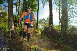 BIB: 
                            <button type="button" onclick="openModal(18935120)" class="btn btn-primary btn-sm float-right btn-popup" data-toggle="modal" data-target=".modal-high-quality">
                        <i class="fas fa-shopping-cart"></i> Add to Cart
                    </button>
                                            <button type="button" onclick="isThisMe(18935120, true)" class="btn btn-success btn-sm float-right btn-popup btn-isme hidden" data-toggle="tooltip" data-placement="bottom" title="นี่คือรูปของคุณใช่ไหม คลิกที่นี่เพื่อเอาเข้าอัลบั้ม">
                        <i class="fas fa-plus"></i> Add to album
                    </button>
                    <button type="button" onclick="isThisMe(18935120, false)" class="btn btn-warning btn-sm float-right btn-popup btn-isnotme hidden">
                        <i class="fas fa-ban"></i> Remove from album
                    </button>